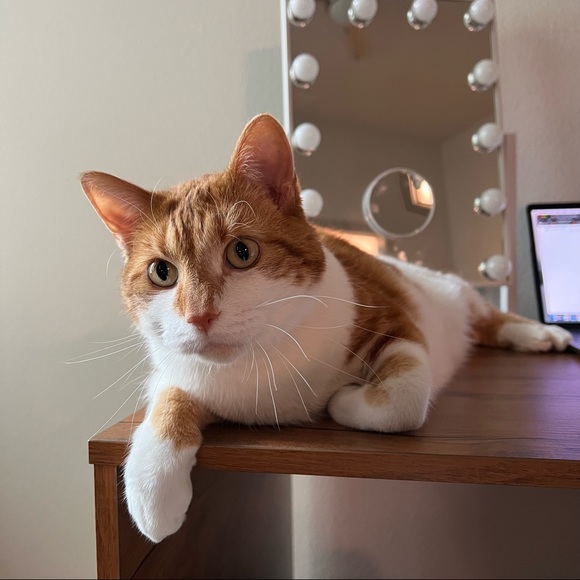 Bookmark Me ๐ฅ - Picture 8 of 10